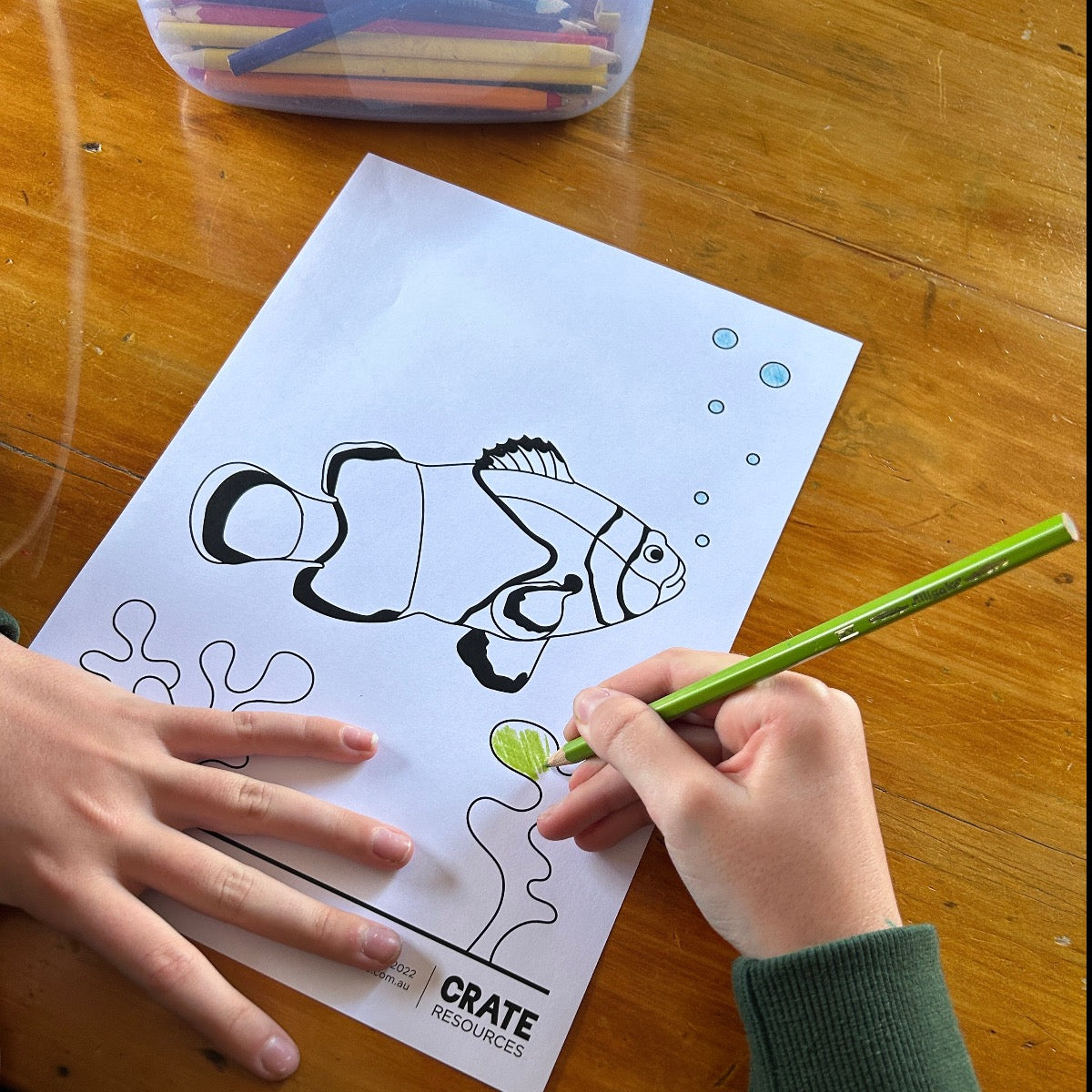 CRATE Starting School Combination – 4-6yrs