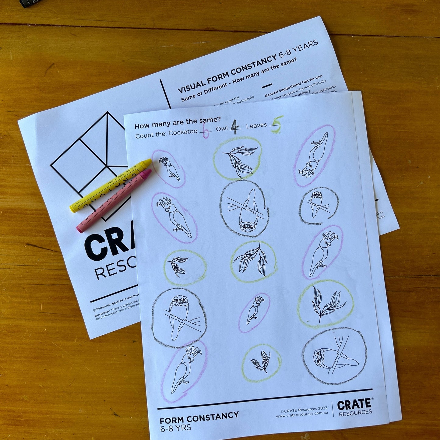 Visual Form Constancy - Same or Different?
