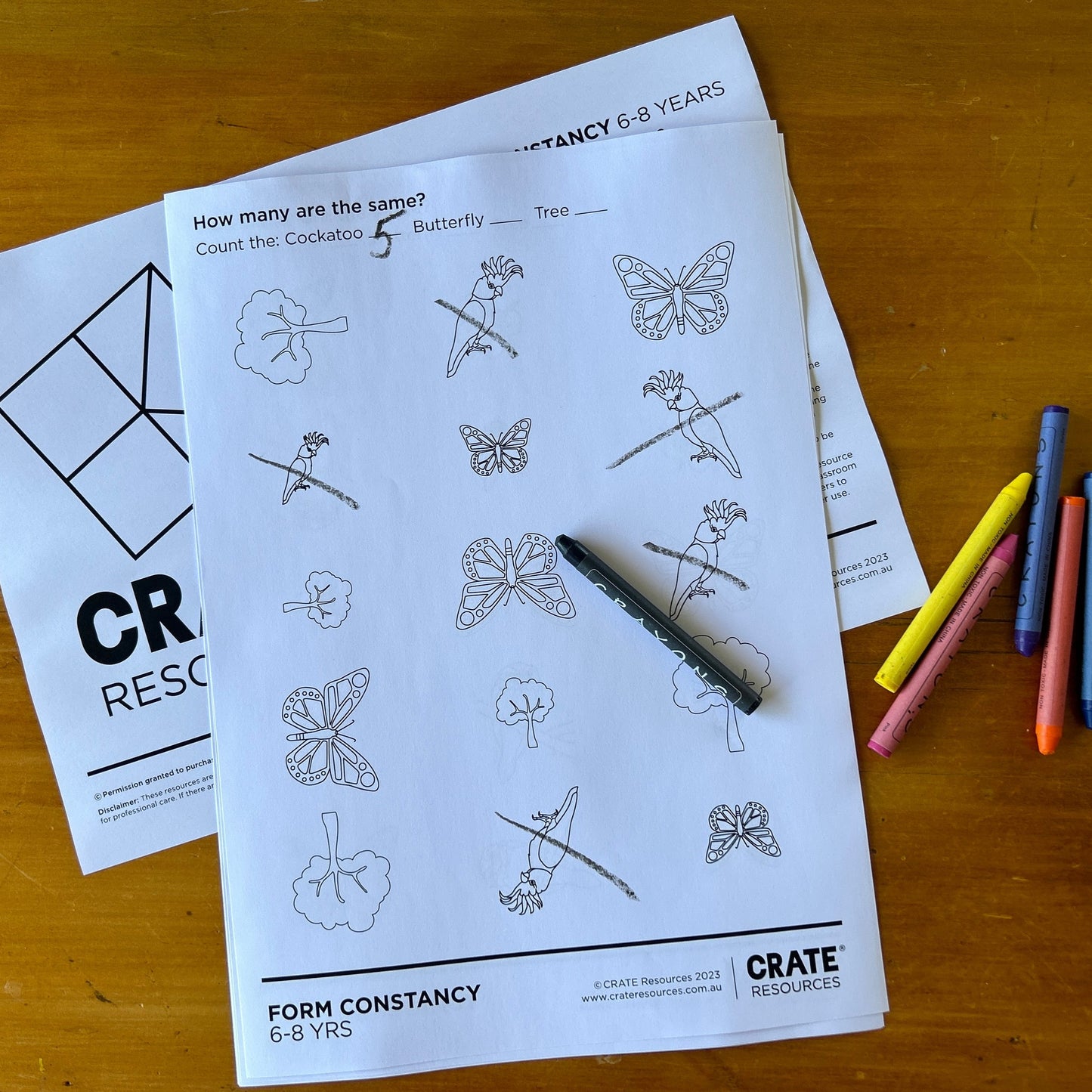 Visual Form Constancy - Same or Different?
