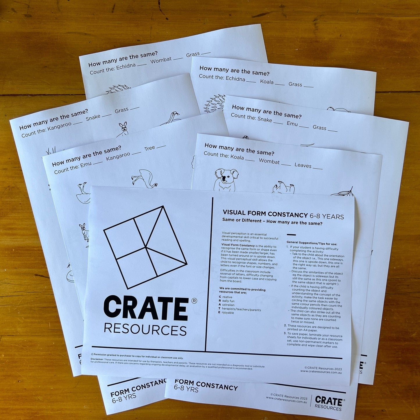 Visual Form Constancy - Same or Different?