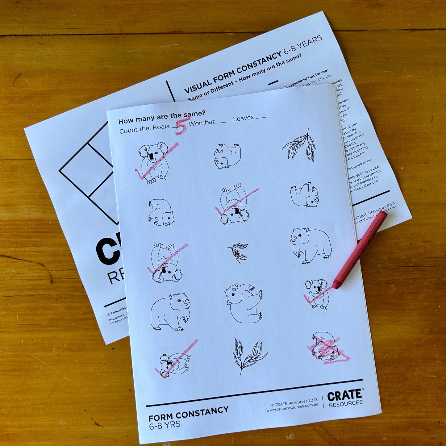 completed worksheet on a table how many are the same koala wombat and leaves