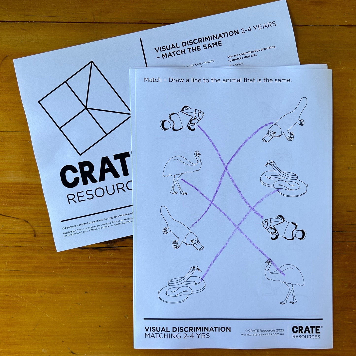 Visual Discrimination - Count + Match