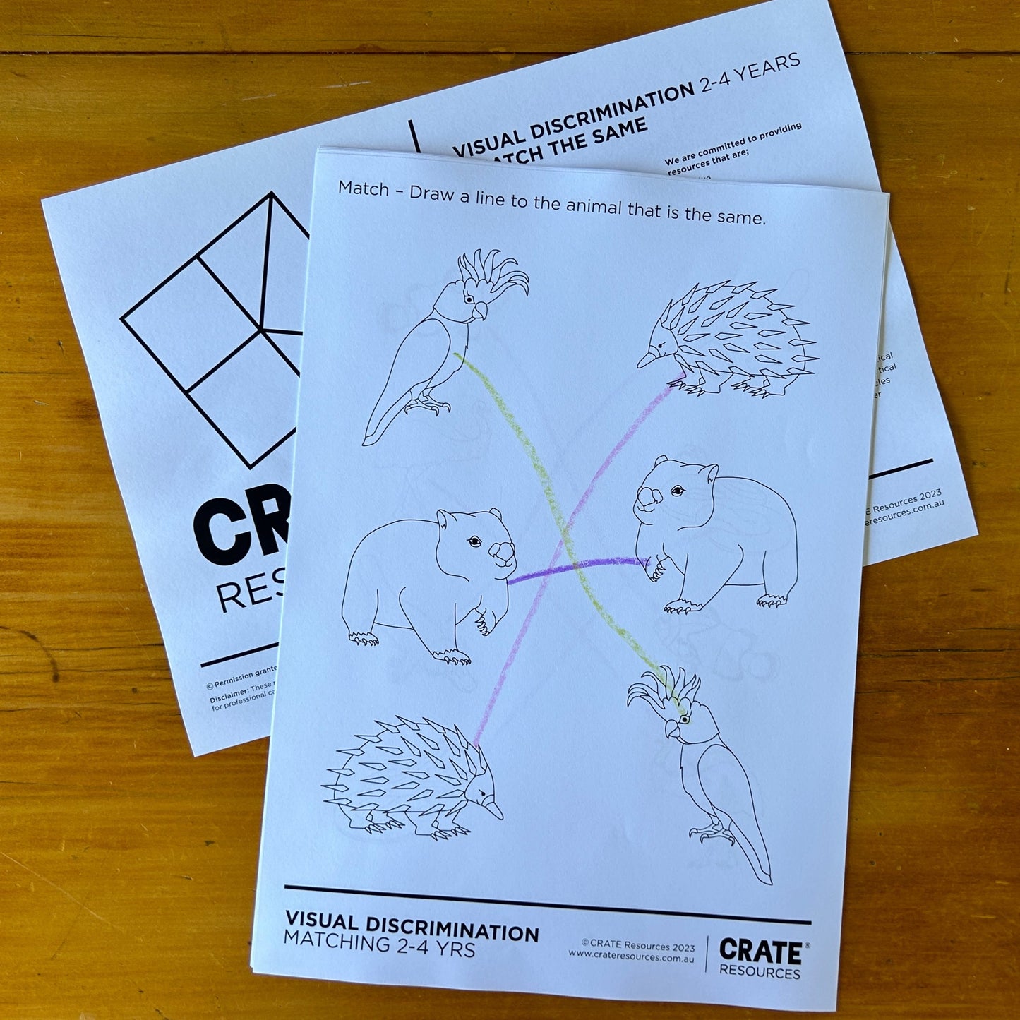 Match the animal wombat cockatoo echidna finished using coloured pencil ages 2-4yrs