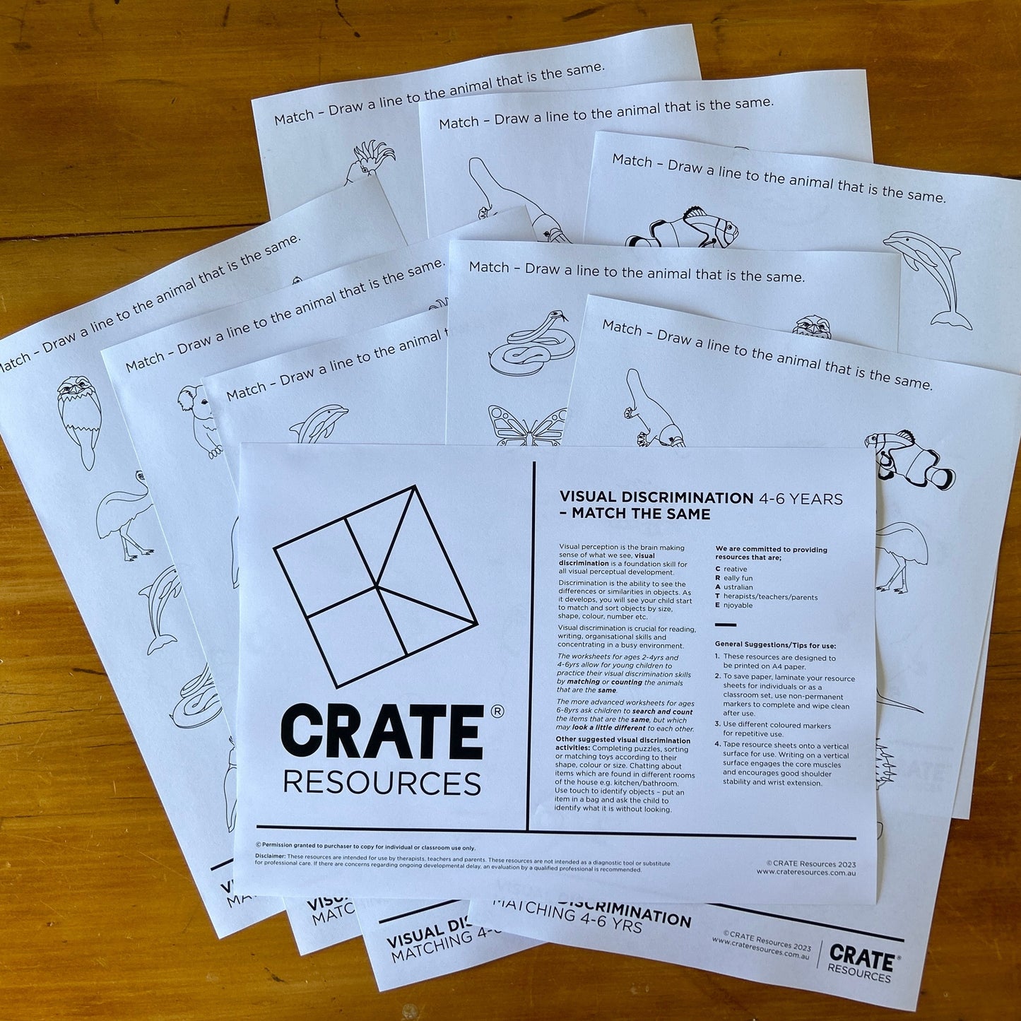 Visual Discrimination - Count + Match