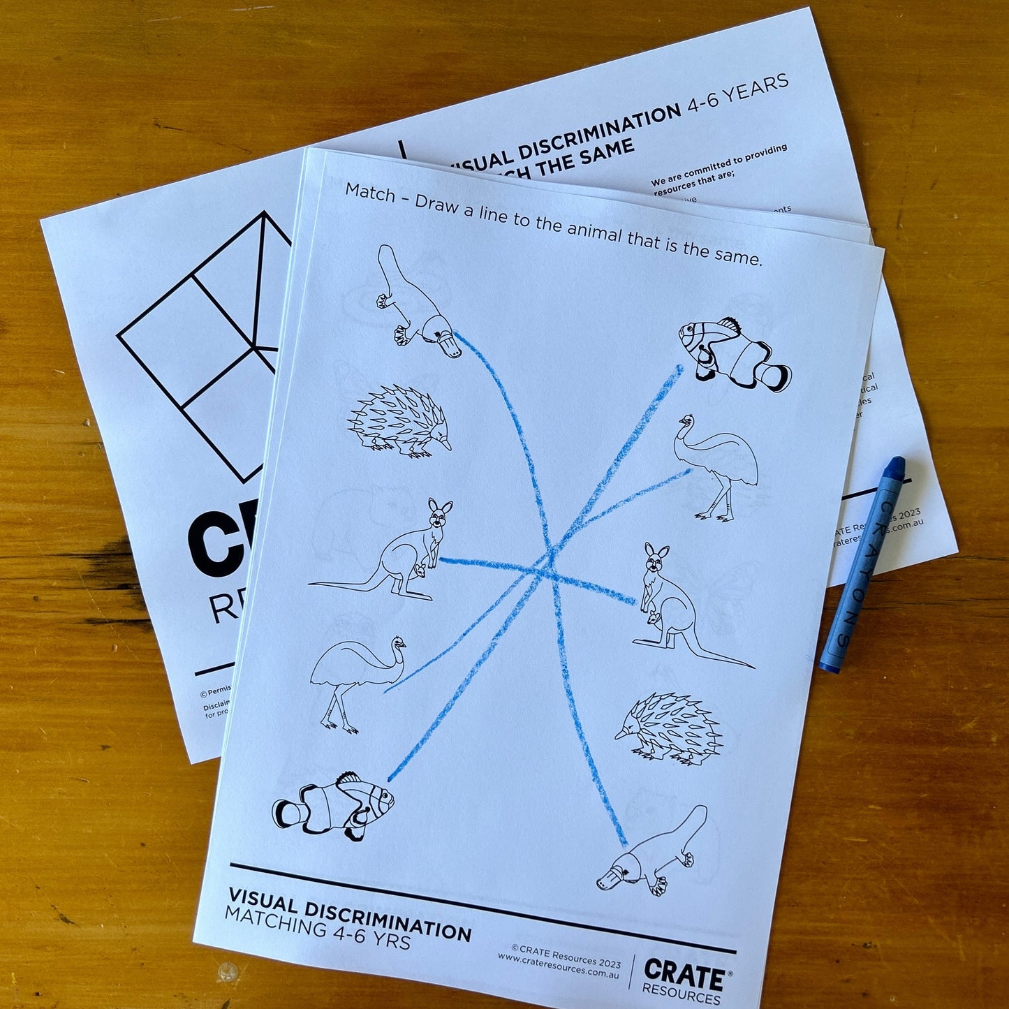 Draw a line to match 4-6yrs australian animals - completed with a coloured pencil