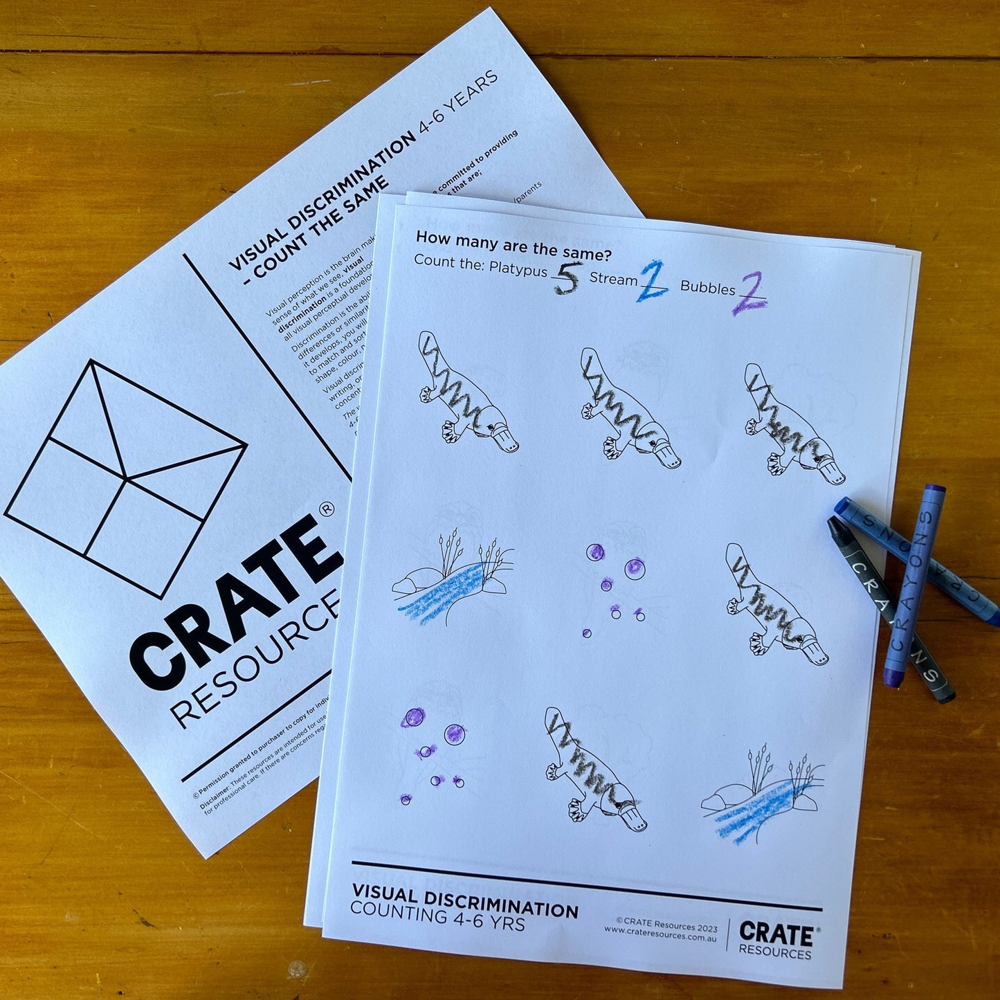 Visual Discrimination - Count + Match