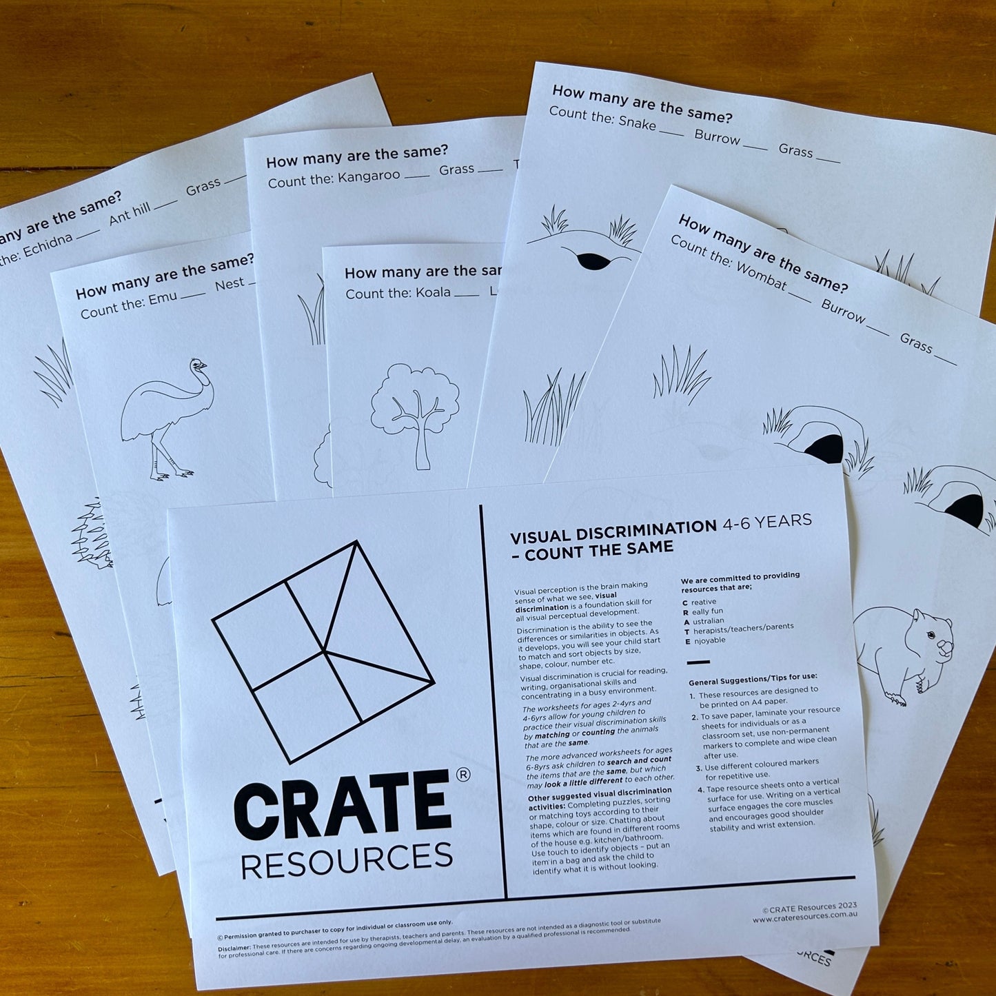 Visual Discrimination - Count + Match