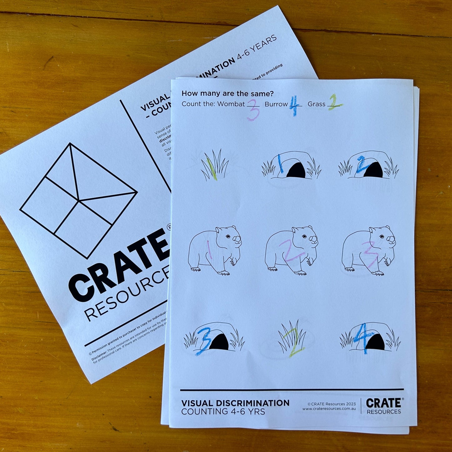 Visual Discrimination - Count + Match
