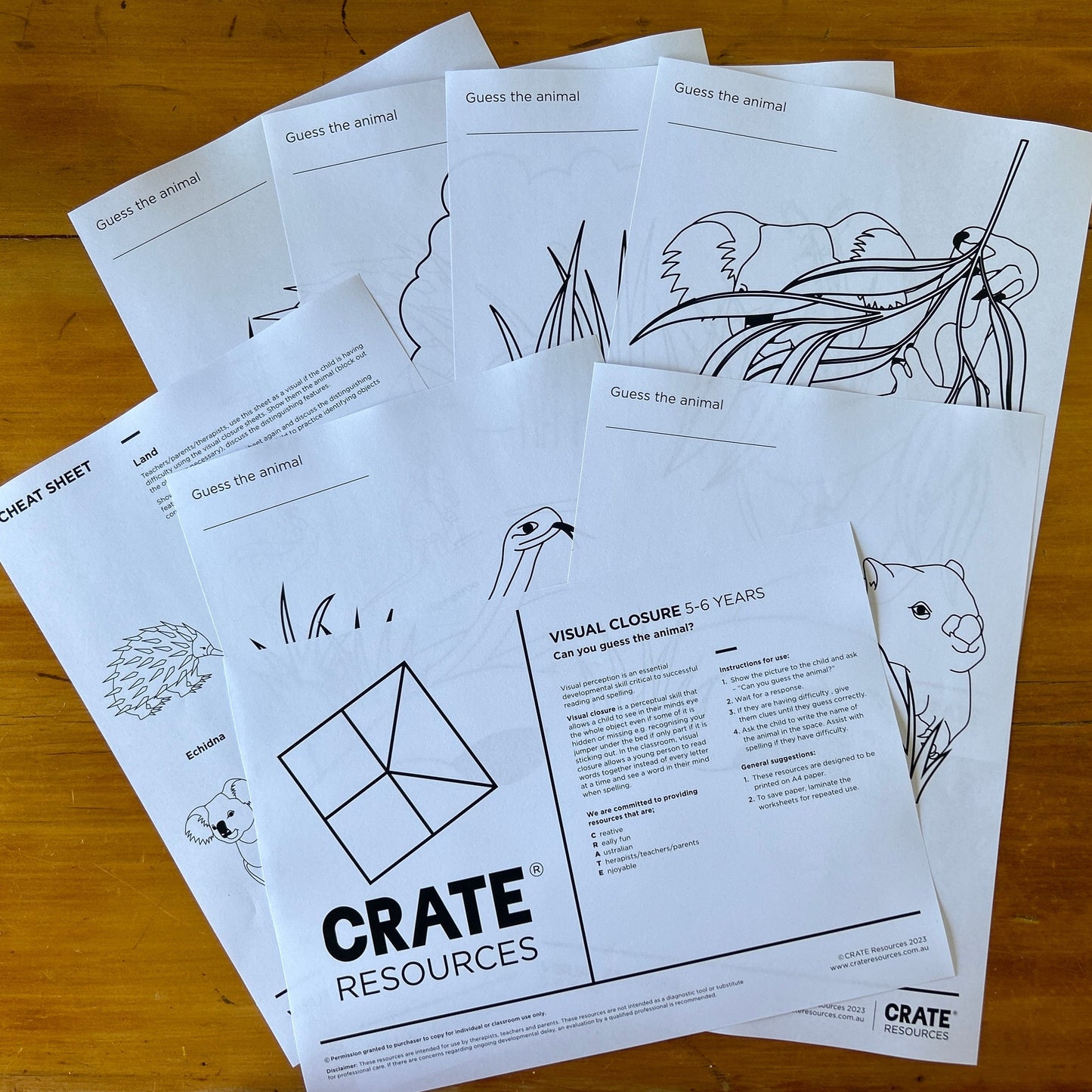 Visual Closure - "In my mind's eye"