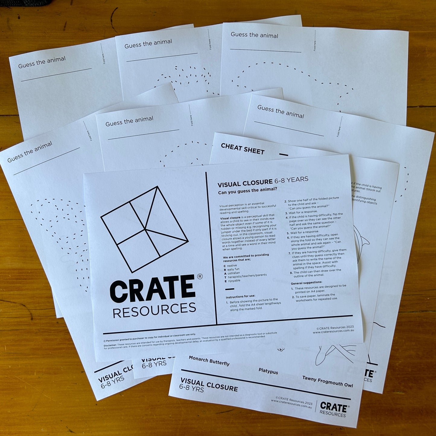 Visual Closure - "In my mind's eye"