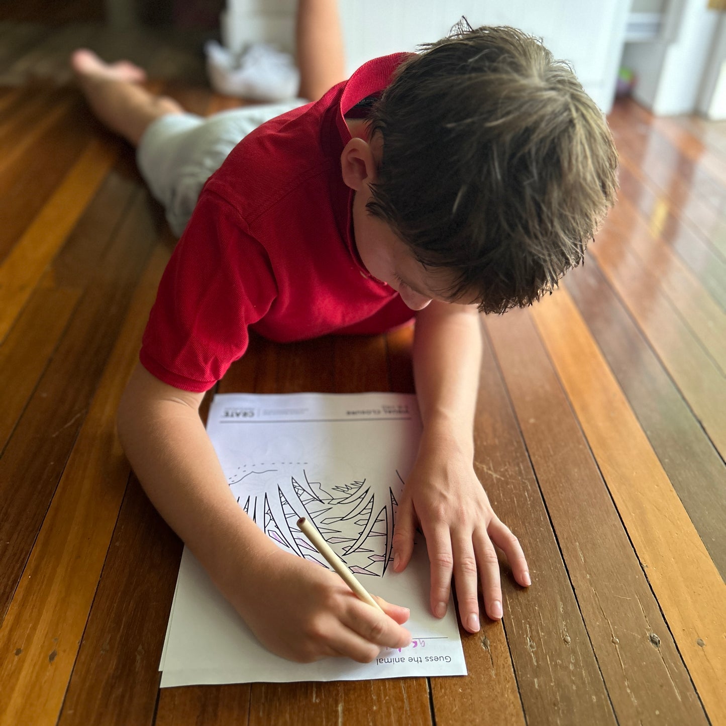 Visual Closure - "In my mind's eye"