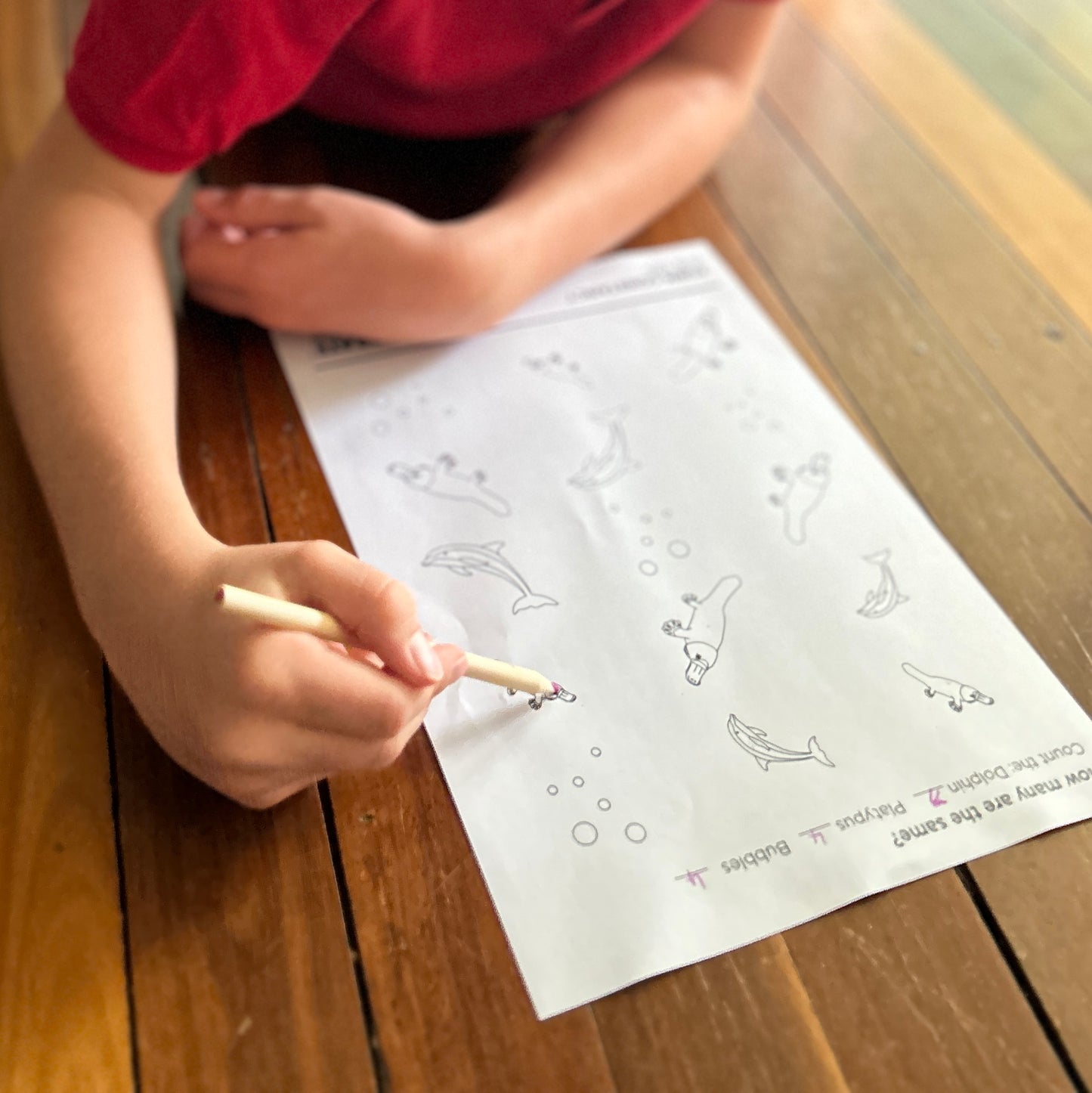 close up of worksheet with platypus and dolphins being completed by a boy lying on floor