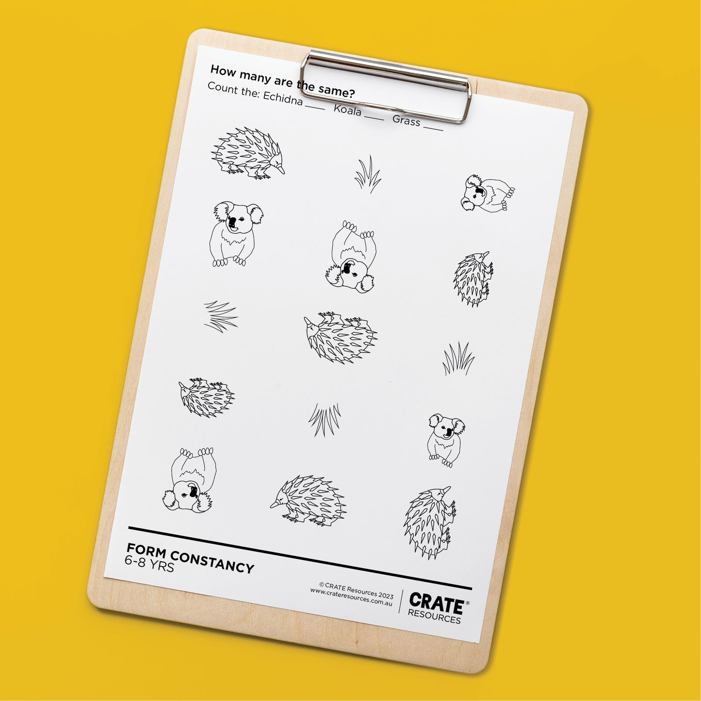 Visual Form Constancy - Same or Different?