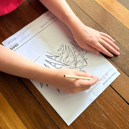 Picture of a worksheet with an echidna hiding behind grass and boy writing echidna on it